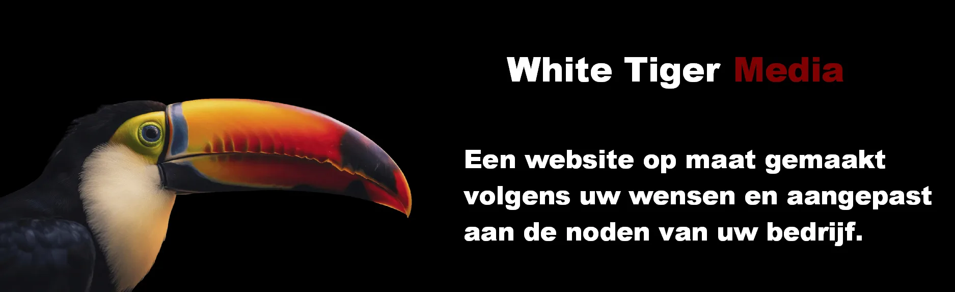 betaalbaar webdesign