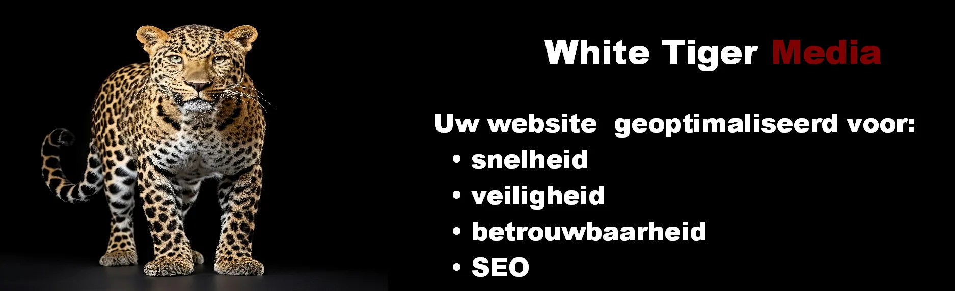 kostprijs webdesign