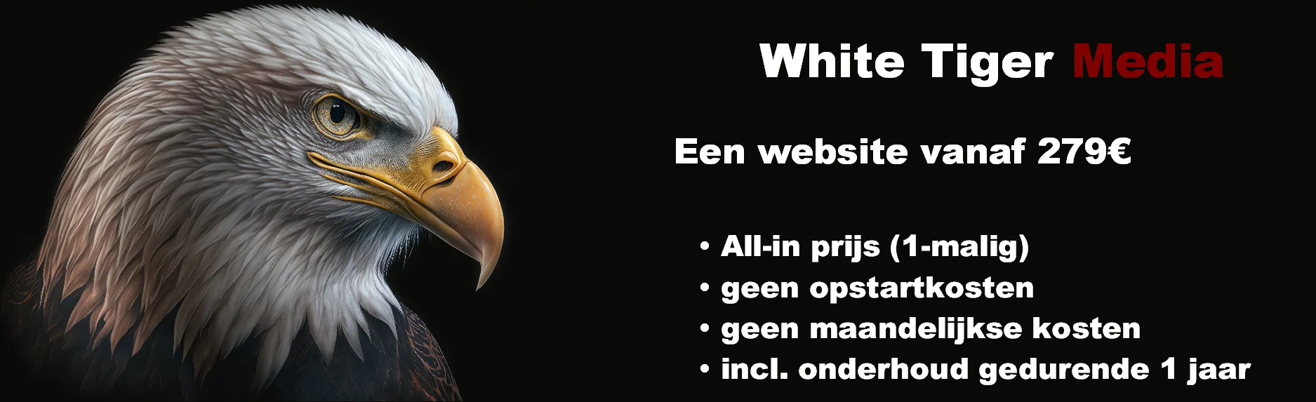 kostprijs website
